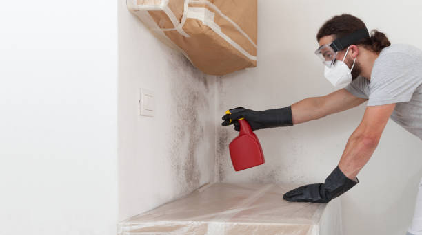 Professional Bathroom Mold Removal technician working in Elizabethtown, NC